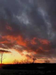 небо, облака, пейзаж, природа, деревья, вечер, горизонт, солнце, поле, закат