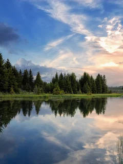 лес, небо, природа, река