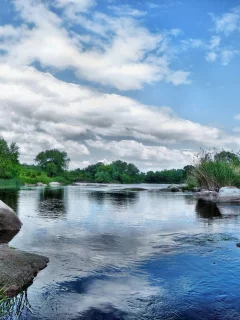 вода, река, лес, отражение, растительность, камни