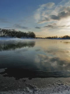 природа, берег, деревья, озеро, снег