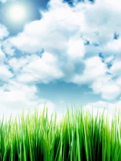 sky over the grass, небо, облака, травка