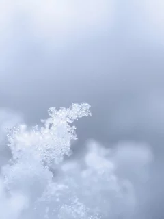 снег, трансформацыя, лед, вода