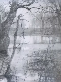 рисунок, карандаш, туман, деревья