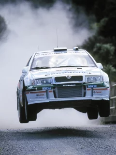 wrc, skoda, дорога, пыль, полёт, octavia