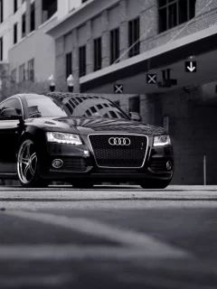 тюнинг, audi a5, черно-белое