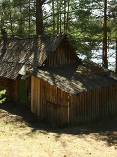 прогулка, отдых, опушка, природа, баня, река, сосенки, настроение, утро