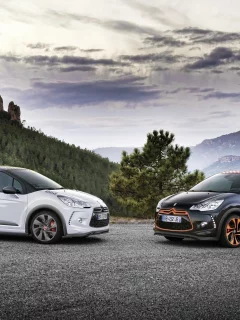 пейзаж, небо, горы, citroen, рэйсинг, дс3, чёрный, ситроен, racing, ds3, белый, дерево