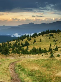 дорога, горы, трава, облака, небо, хвойные деревья