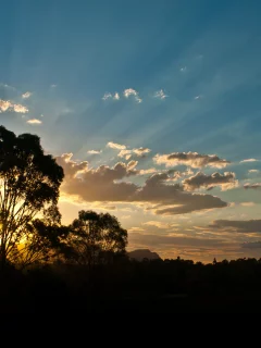австралия, деревья, деревья, australia, лучи, облака, солнце, лес, лучи солнца, горы, закат, вечер, дерево