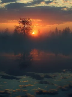 солнце, небо, вода, отражение, деревья