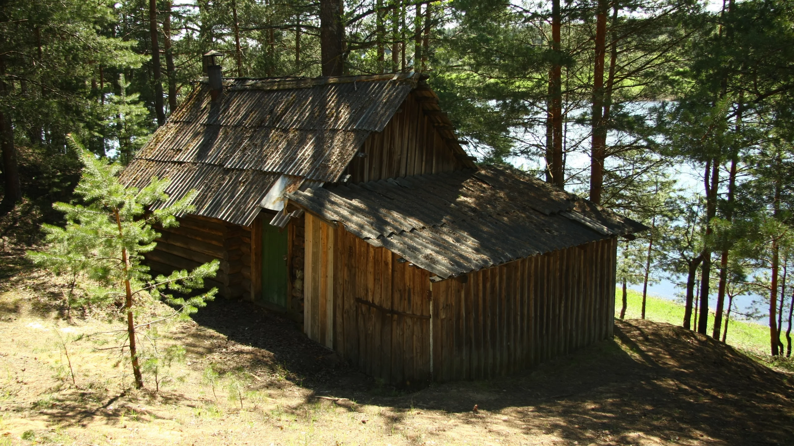 прогулка, отдых, опушка, природа, баня, река, сосенки, настроение, утро