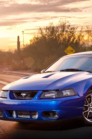 svt, ford, cobra, mustang, terminator