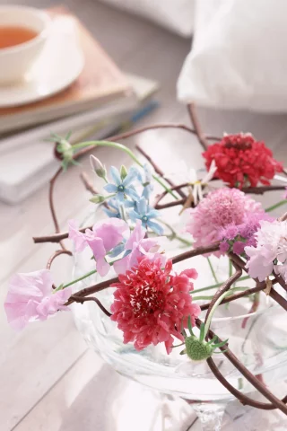 цветы, ваза, стиль, композиция, flowers