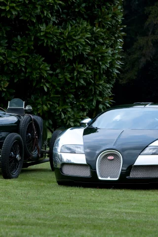 bugatti veyron, bugatti grand prix, природа, черный