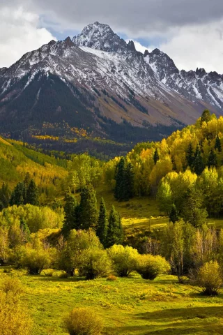 горы, лес, осень, деревья