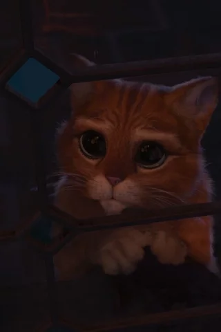 шрек, глаза, кот