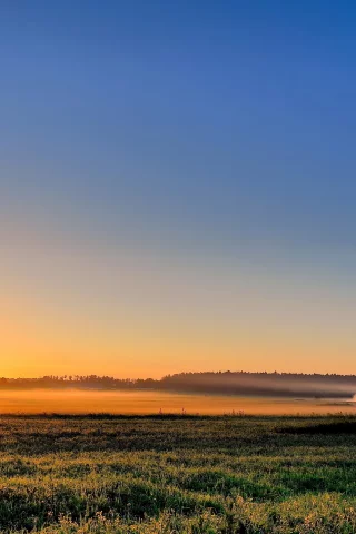 солнце, природа, поле, трава, небо, лучи, закат