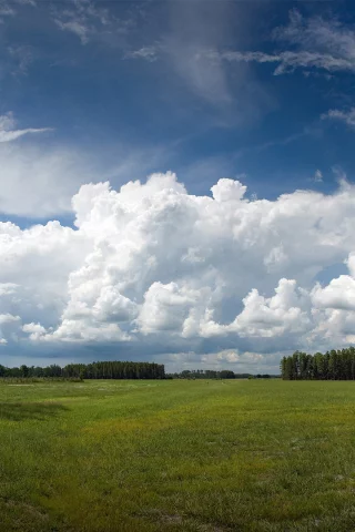 зелёный луг, geographic, небо, голубое, national, деревья, nature
