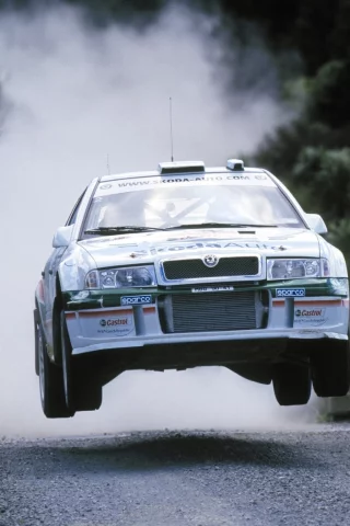 wrc, skoda, дорога, пыль, полёт, octavia