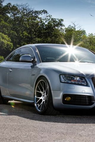 audi, а5, лето, блики, небо, день