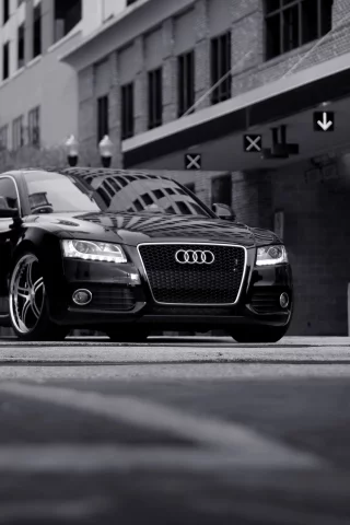 тюнинг, audi a5, черно-белое