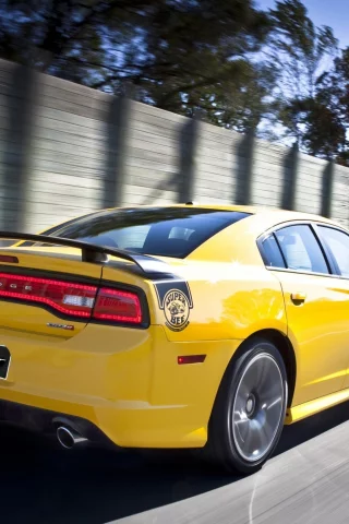 muscle car, деревья, срт8, srt8, вид сзади, super bee, мускул кар, charger, желтый, dodge, забор, додж, чарджер