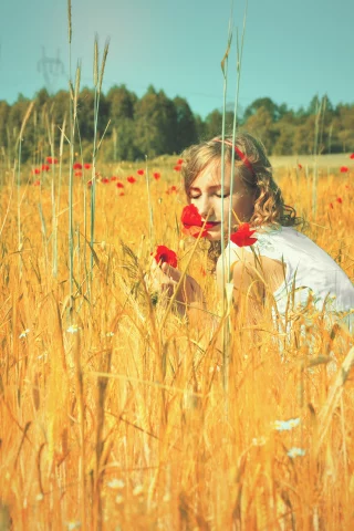 маки, девушка, тепло, небо, цветы, лето, колосья, поле, природа, настроение, солнце