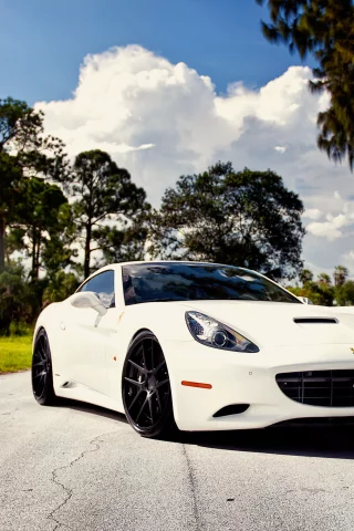 лошадка, белая, california, ferrari