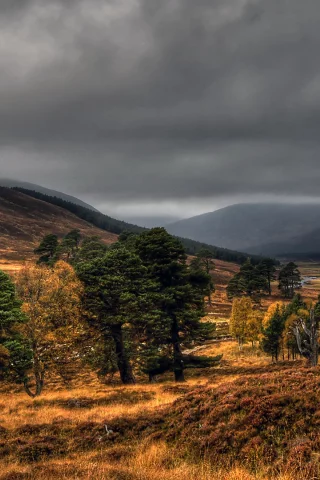 national, nature, geographic, autumn