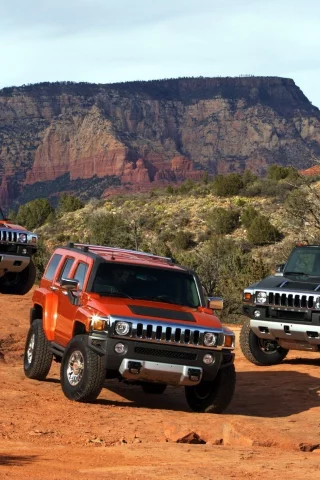 hummer, mixed, кусты, америка, h2, каньён, h2 sut, h3 alpha, небо