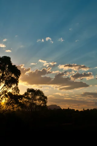 австралия, деревья, деревья, australia, лучи, облака, солнце, лес, лучи солнца, горы, закат, вечер, дерево