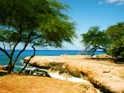 tilt-shift, oahu, кустарники, дорога, волны, hawaii, пляж, камни, море, побережье, деревья