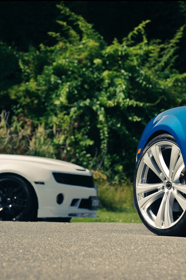 camaro, камаро, деревья, white, chevrolet, синий, cr-1, белый, cordon, ss, blue, шевроле