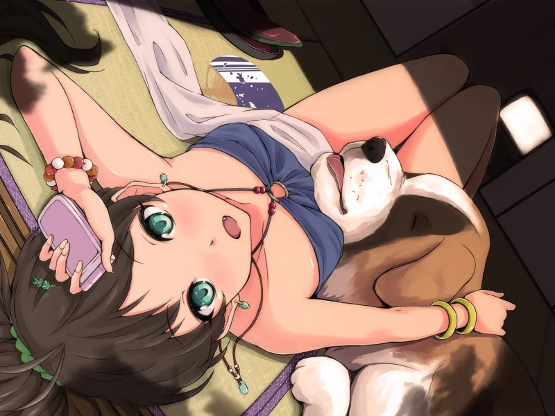 ganaha hibiki, лежит, солнце, телефон, idolmaster, собака, девушка, комната, мобильник