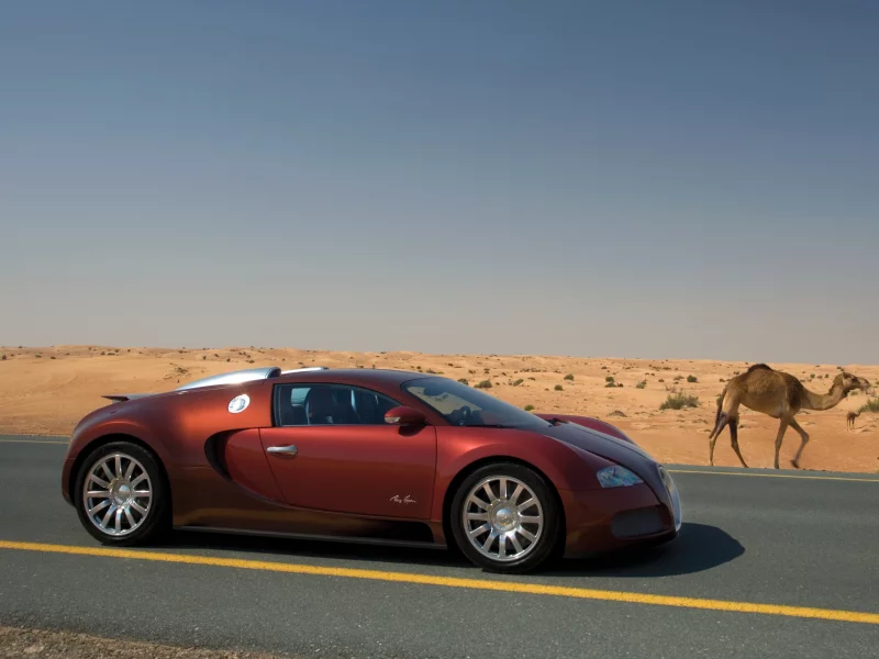бугатти, вейрон, camel, veyron, гиперкар, bugatti, верблюд, бордовый, пустыня
