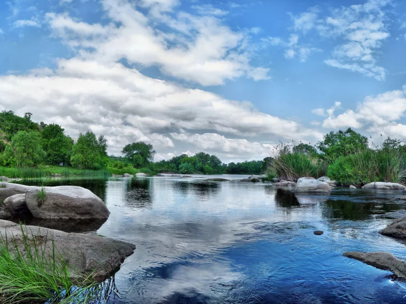 вода, река, лес, отражение, растительность, камни