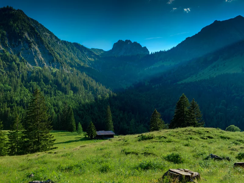 деревья, зелень, небо, landscape, горы, 2560x1600, nature, mountains, grass, greenery, природа, лес, пейзаж, trees, forest, трава, дом, house, sky