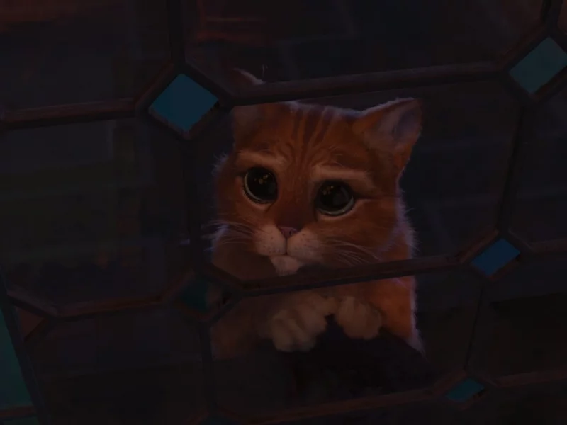 шрек, глаза, кот