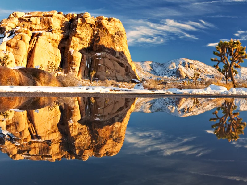 joshua tree national park, камень, природа, америка, пейзаж, озеро, растения, отражение, камни