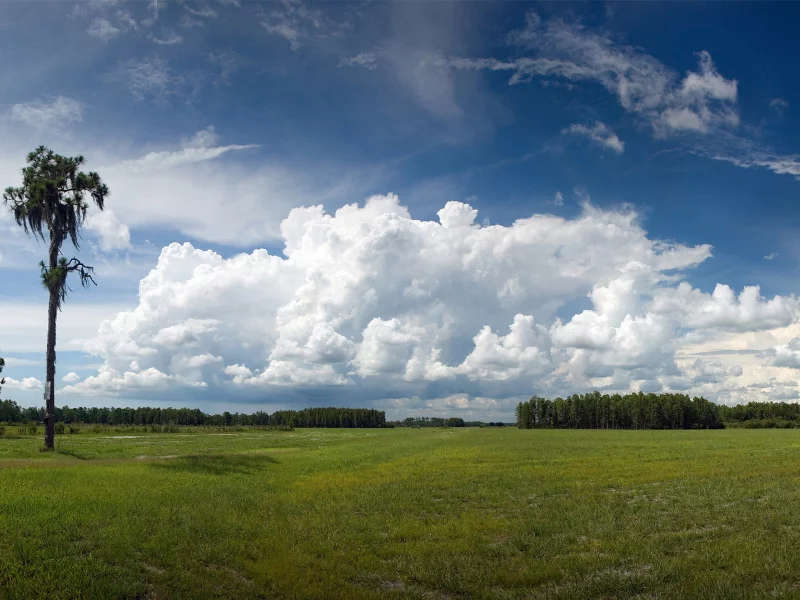 зелёный луг, geographic, небо, голубое, national, деревья, nature