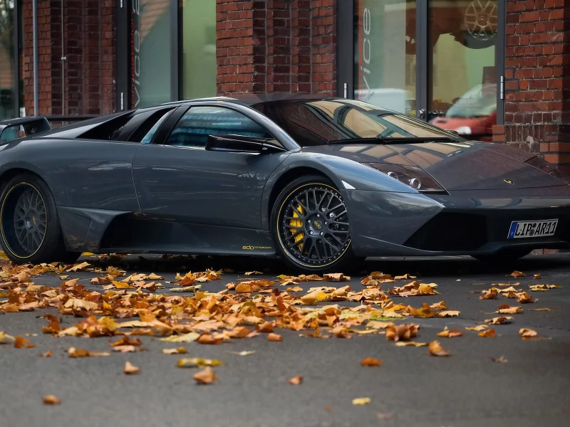 серый, murcielago, суперкар, lamborghini, листва