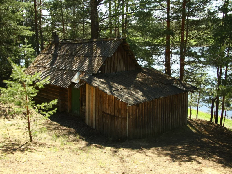 прогулка, отдых, опушка, природа, баня, река, сосенки, настроение, утро