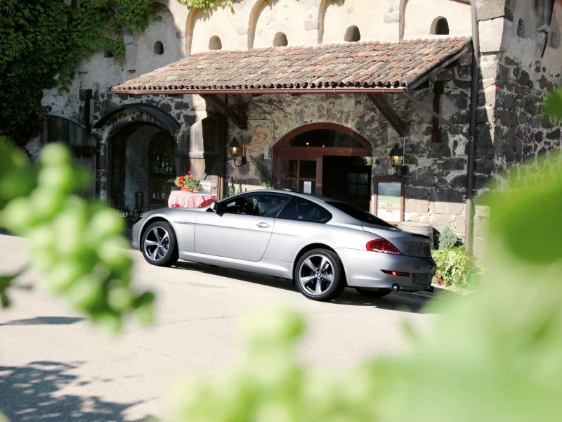 старый дом, 6 series, bmw, черепитца, e63-e64, из кустов