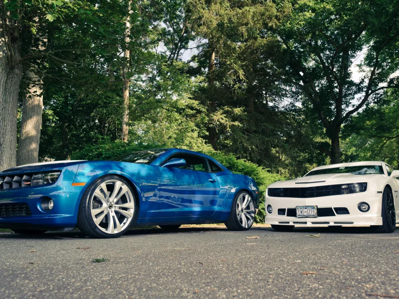 chevrolet, white, camaro, cordon, blue, шевроле, cr-1, белый, камаро, ss, синий, деревья