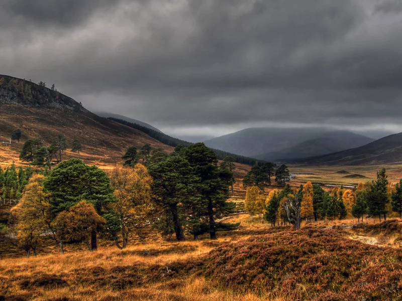 national, nature, geographic, autumn