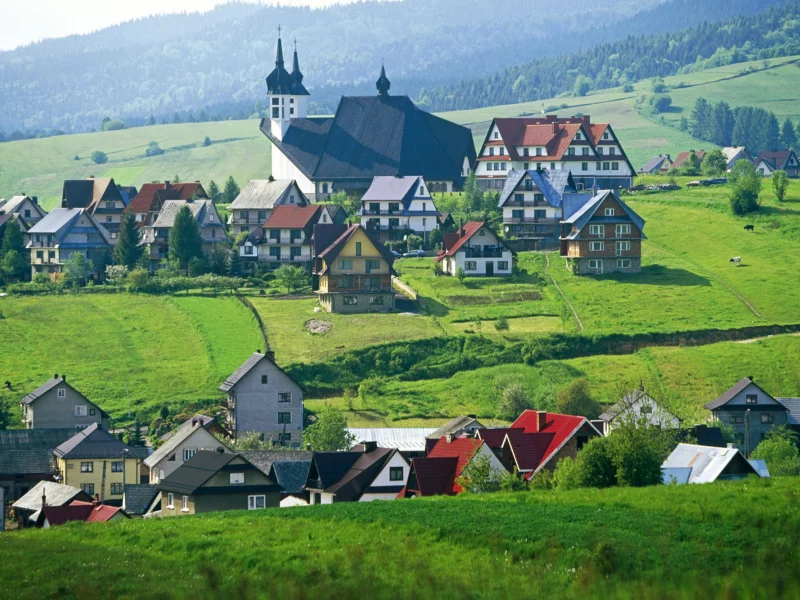 зелень, дома, природа, трава