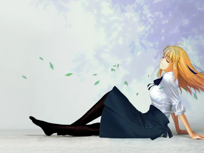 девушка, ветерок, fate stay night, волосы