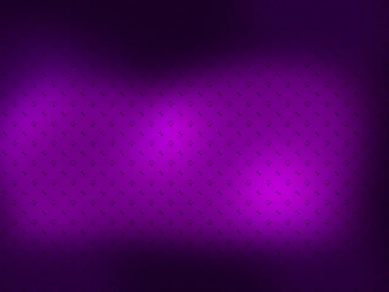 фон, 2560x1600, картинки, текстуры, лапы, обои