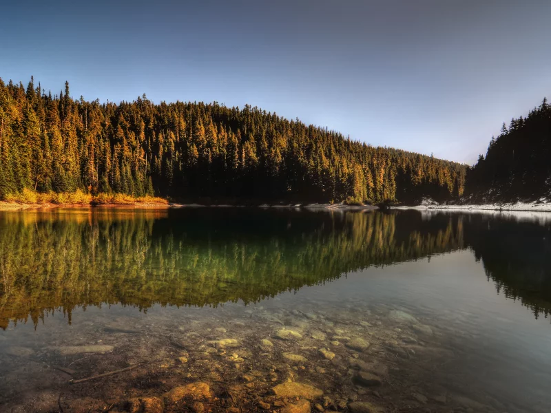 деревья, холмы, вода, nature, природа, отражение, лес, озеро, снег