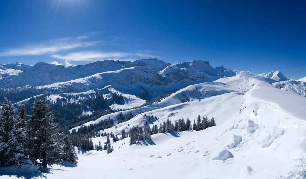 снег, горы, деревья, лучи солнца